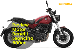 motor Leoncino 250