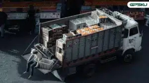 Fleet Management