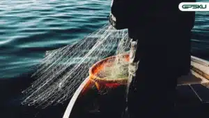 Vessel Monitoring System